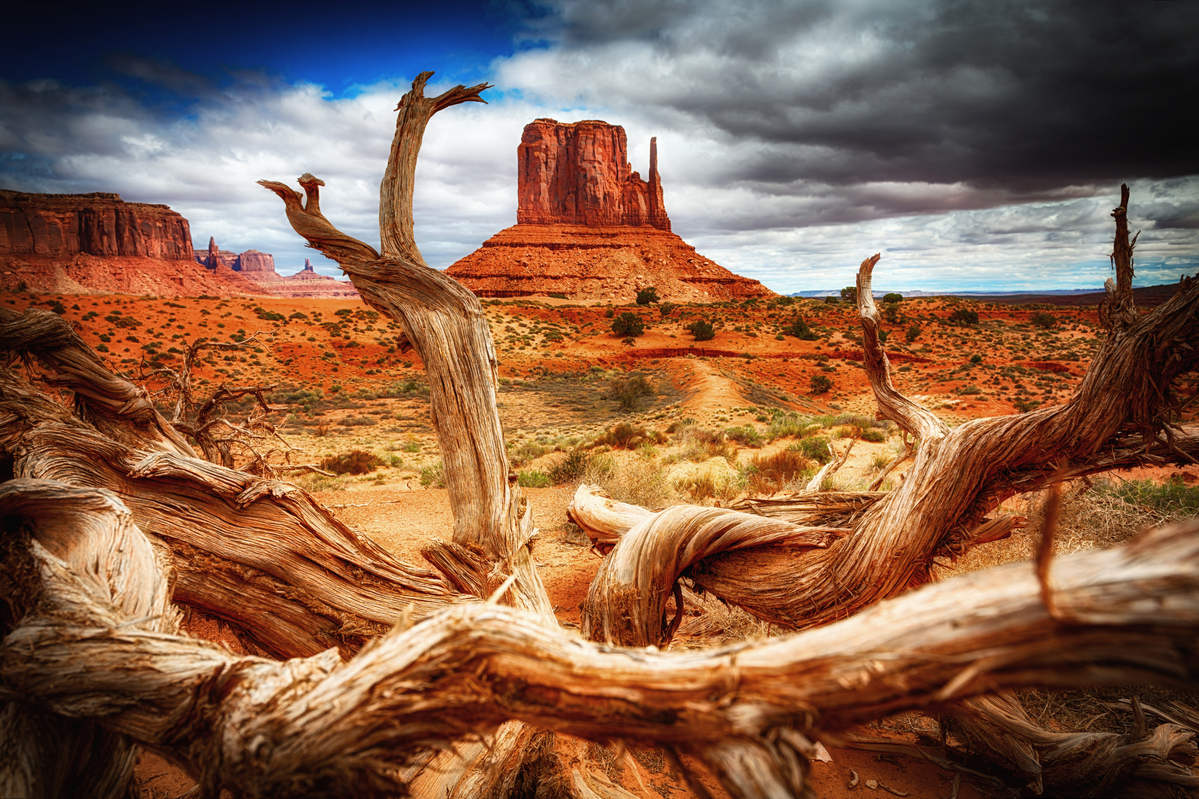 monument valley, arizona.webp